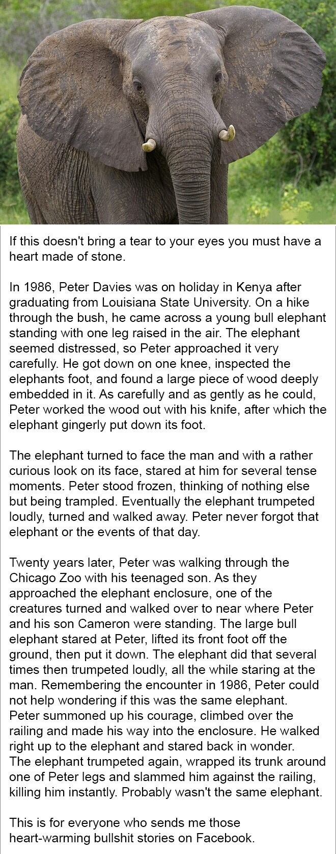 So heartwarming!