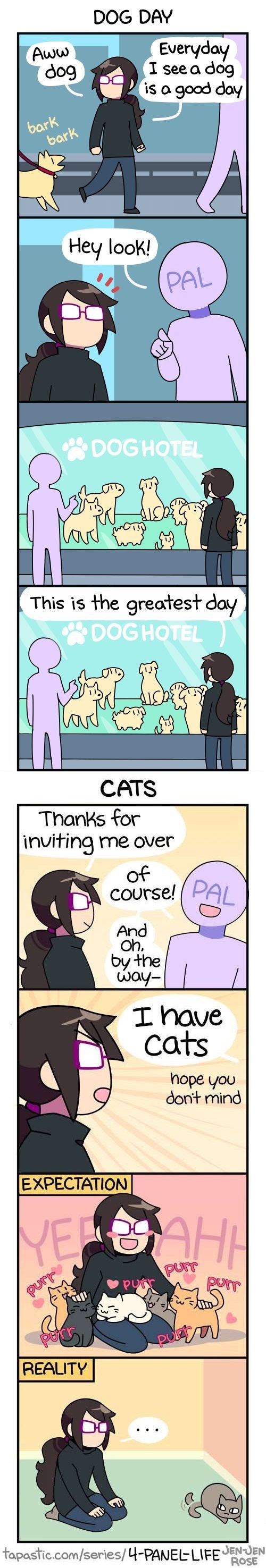 Cats vs. Dogs