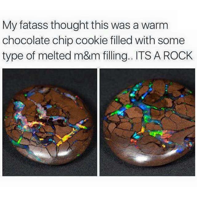 I wish it was a cookie