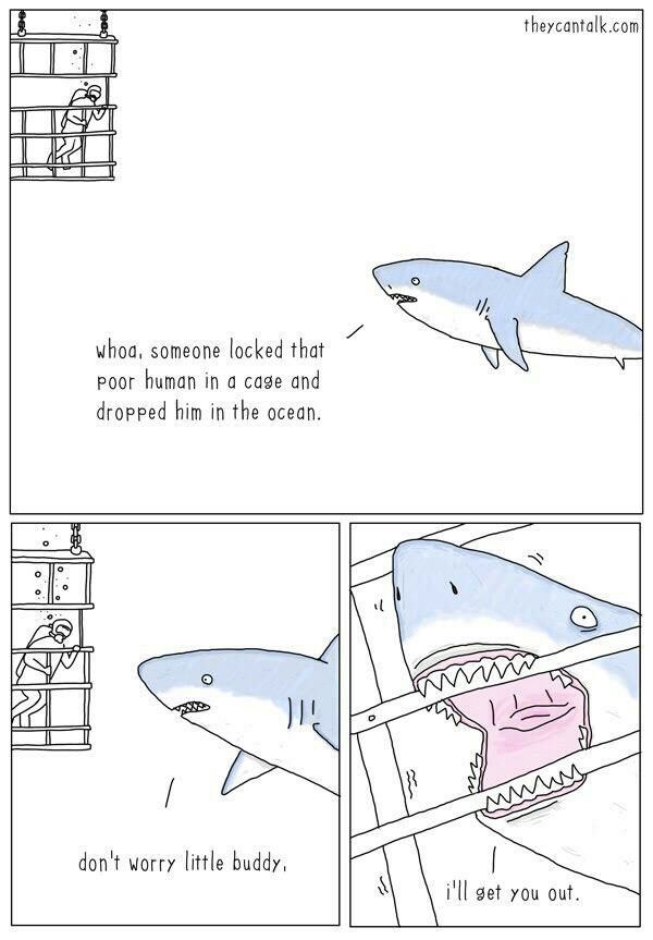 Good guy misunderstood shark