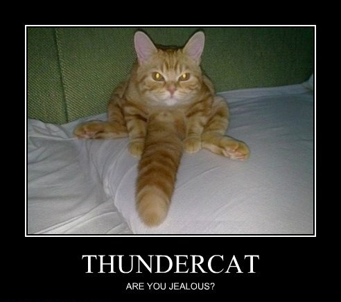 Thundercat