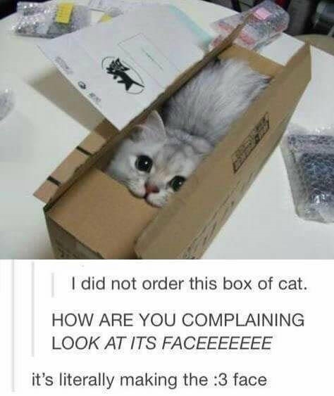 LOOK AT IT!