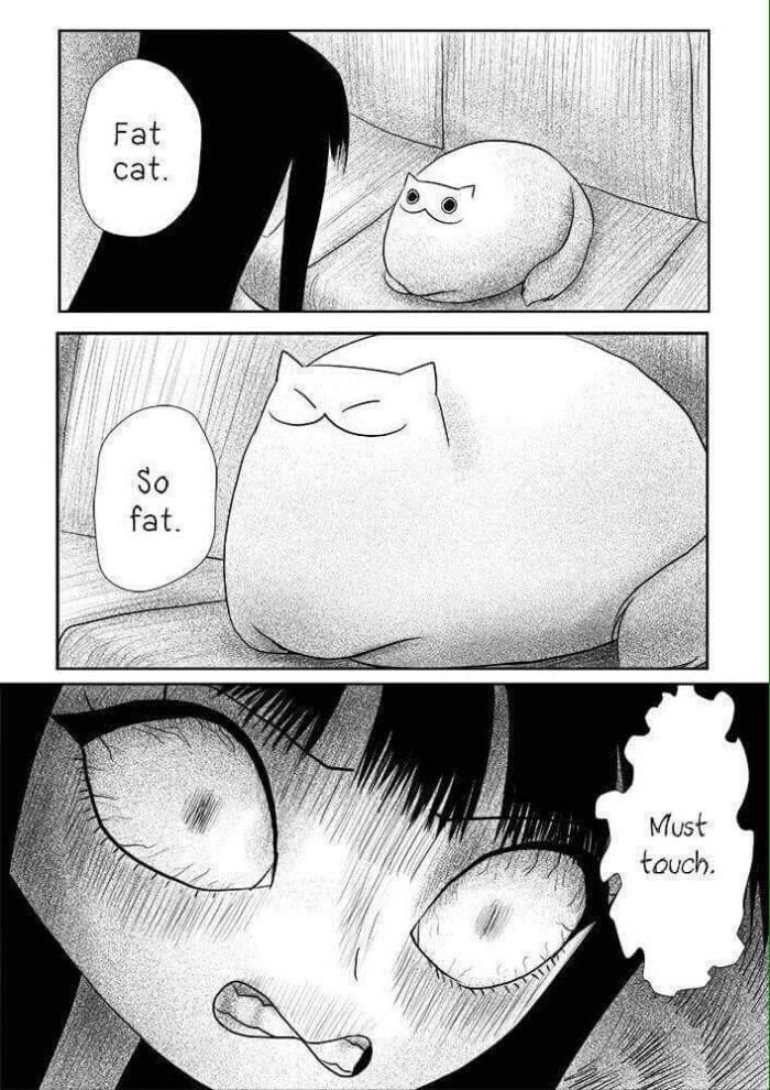 when I see cat