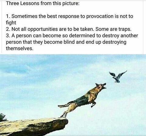 Some life lessons