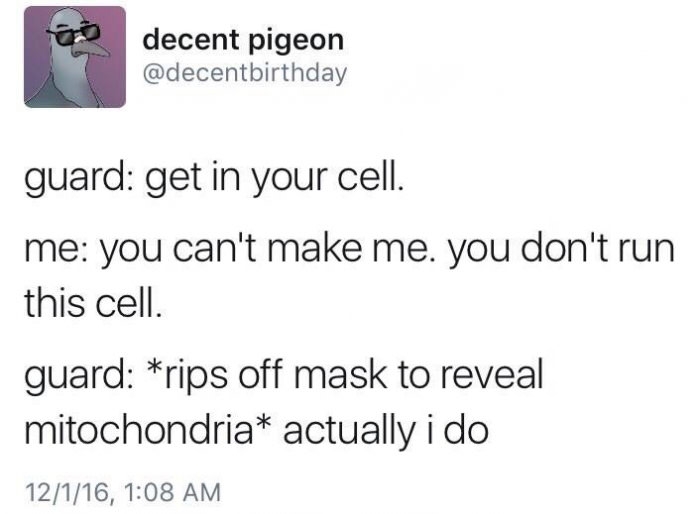 Where my fellow nerds at