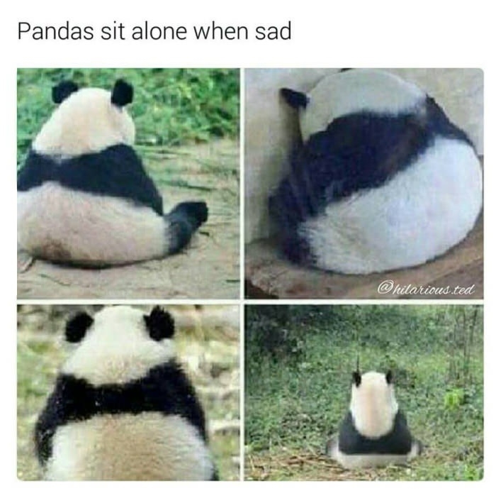 That's kinda sad