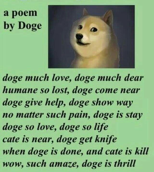 Much poem. Wow. Such doge