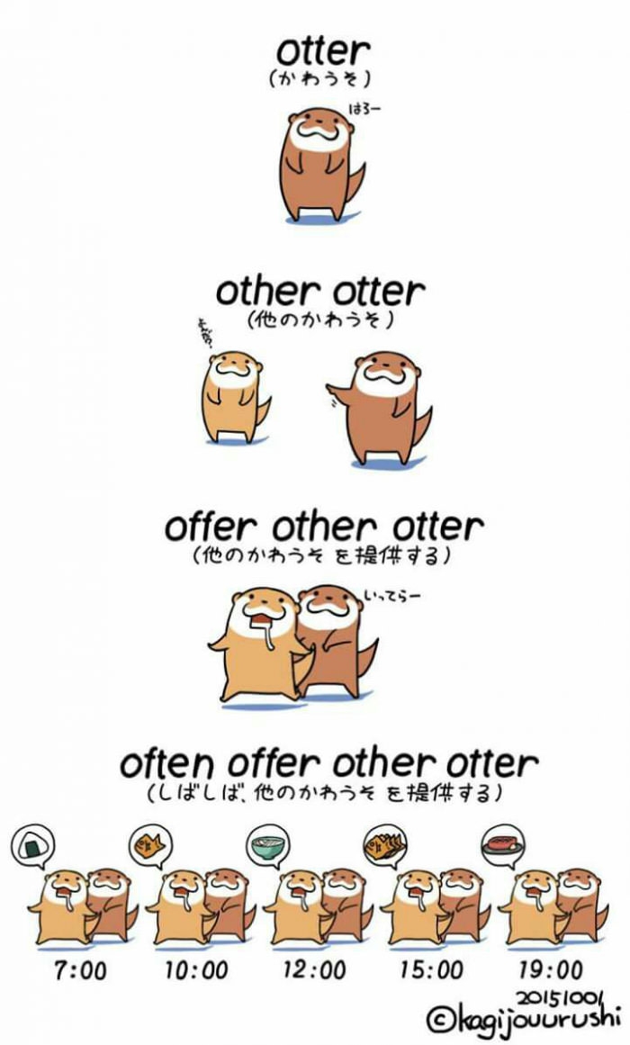 Otter Otter Otter