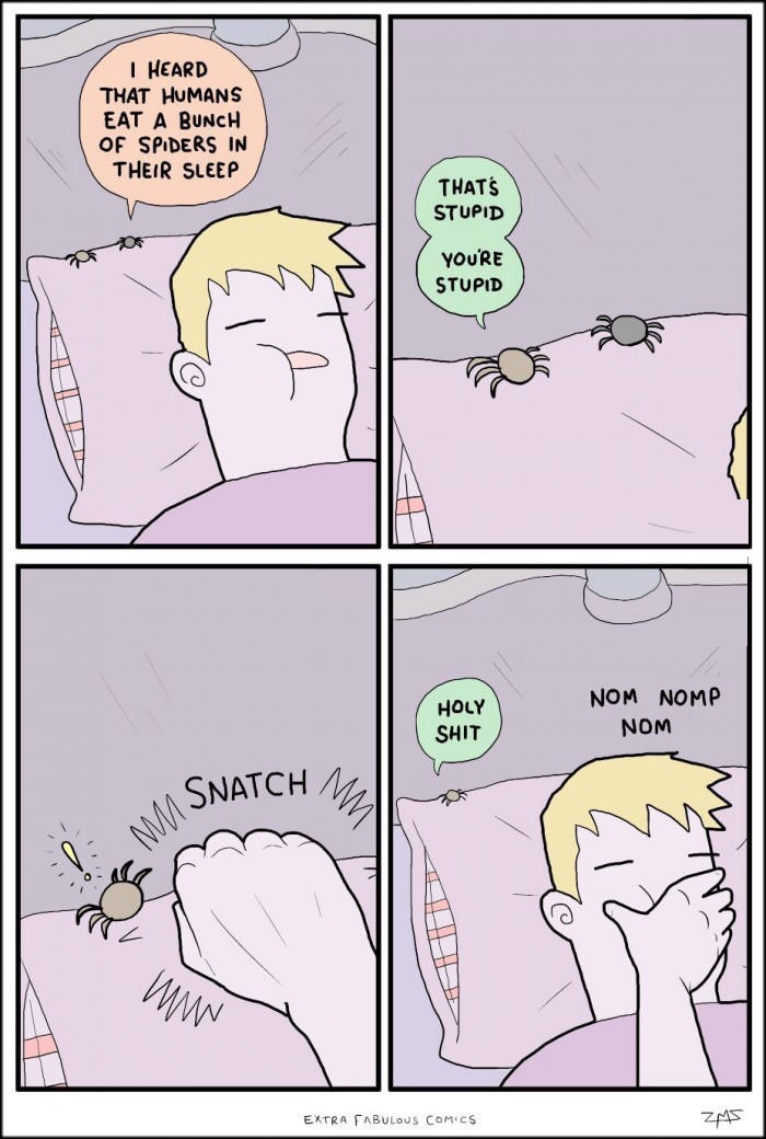How stupid