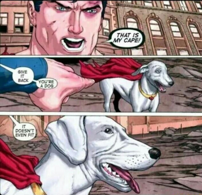 Superdog