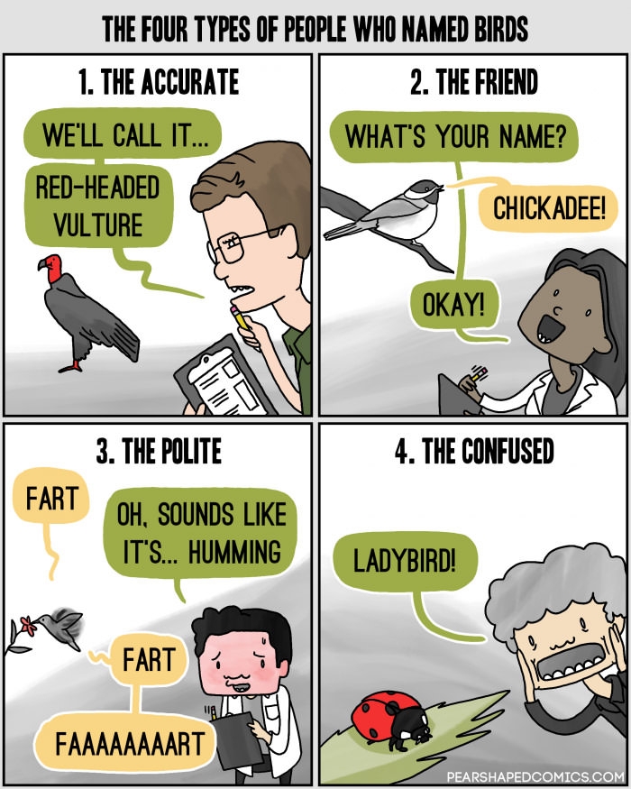 Four types of people who named birds