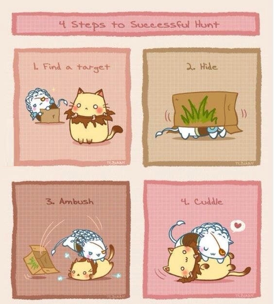 4 steps to a successful hunt