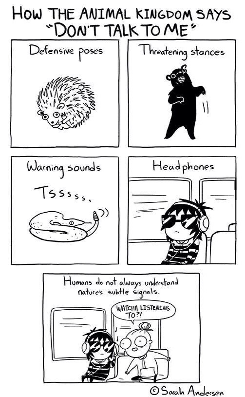 How animals say 'don't talk to me'