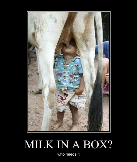 Milk in a box