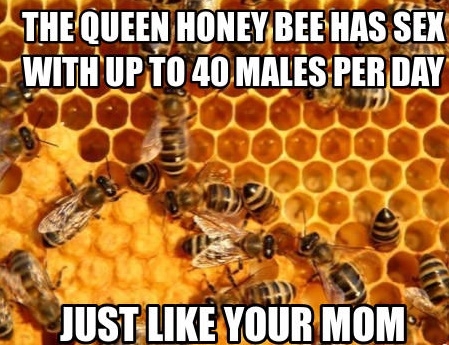 What a busy bee she is