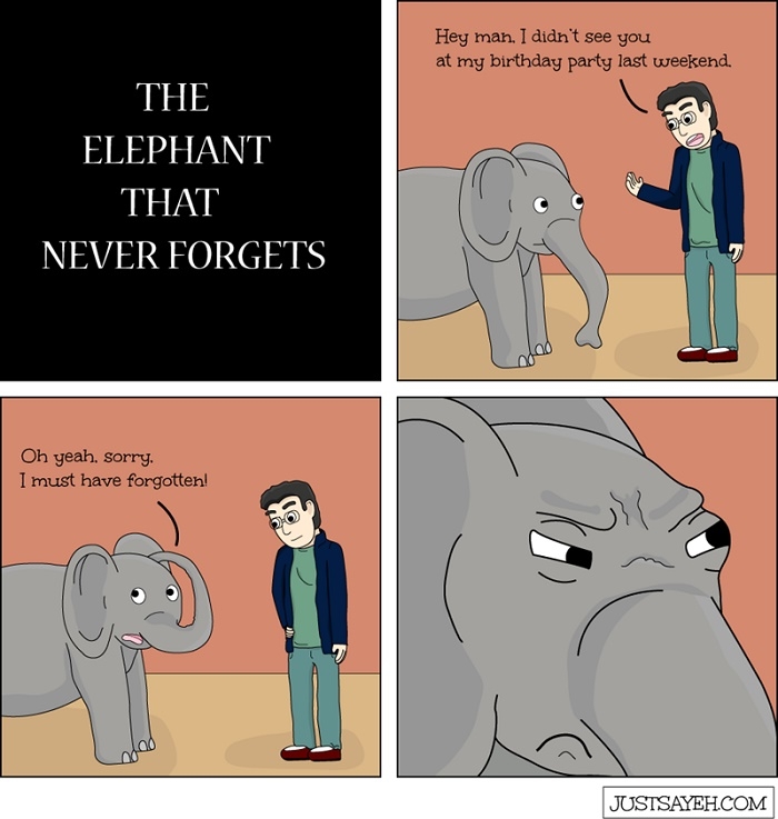 The elephant that never forgets