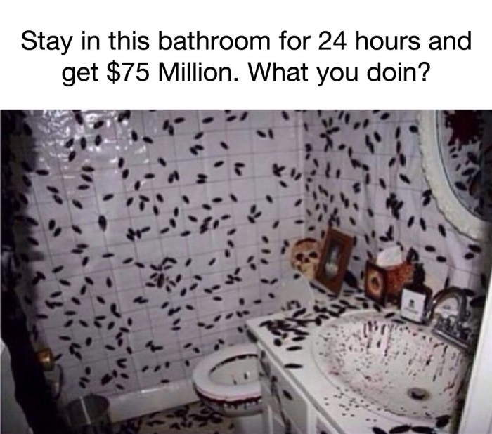 Would you do it?