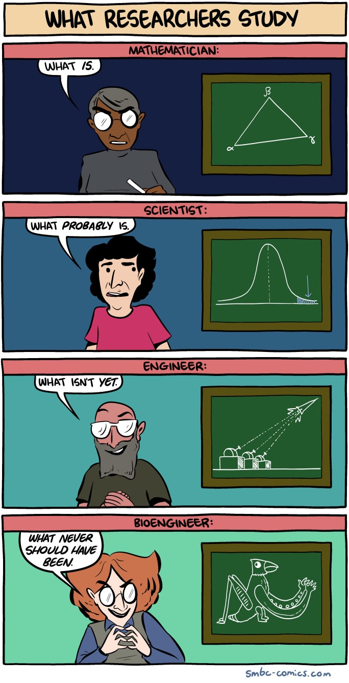 What researchers study