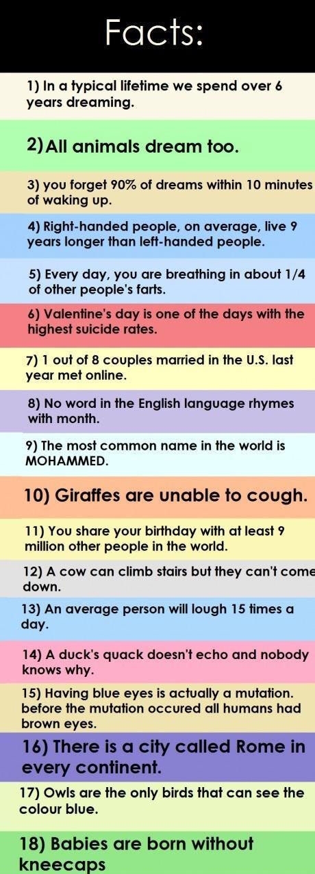 Interesting facts