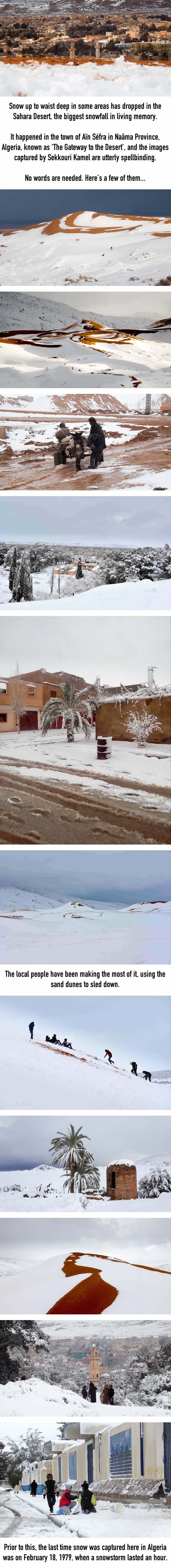 Biggest snowfall in the Sahara Desert