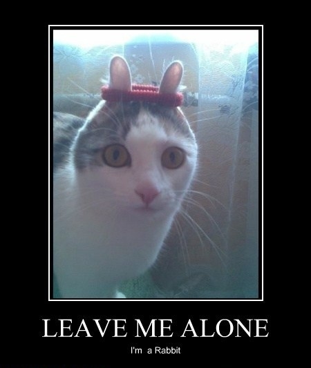 Leave me alone