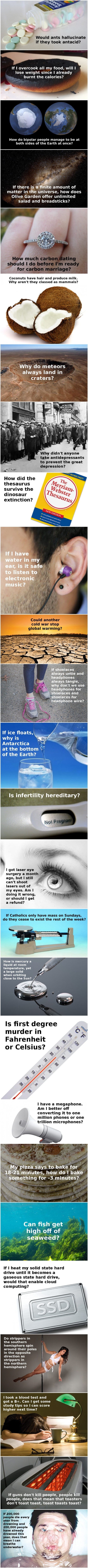 Funny dumb questions