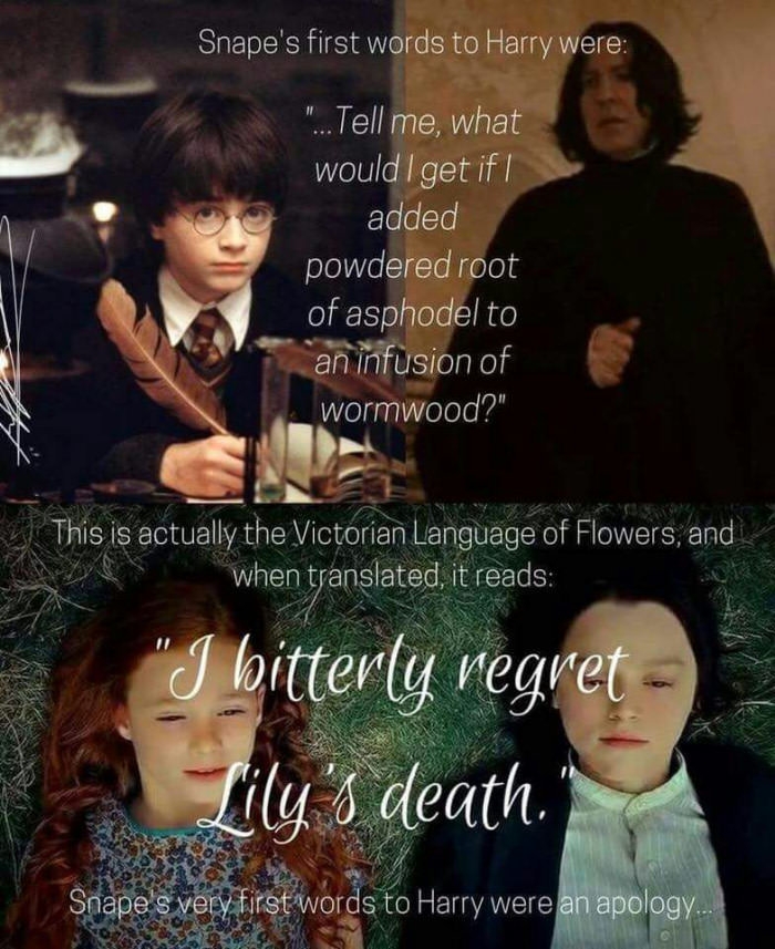 Professor Snape