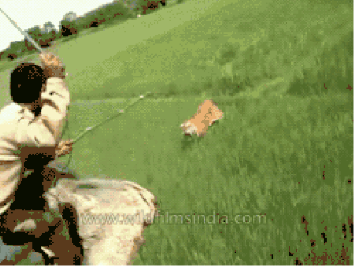 Dat magical leap tho