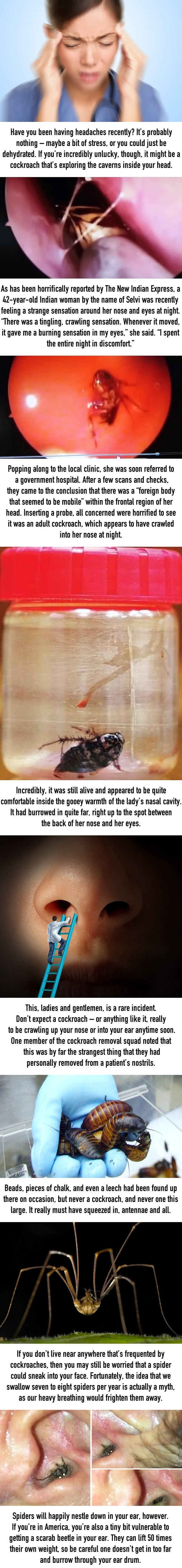 Woman finds literal nightmare crawling around inside her head