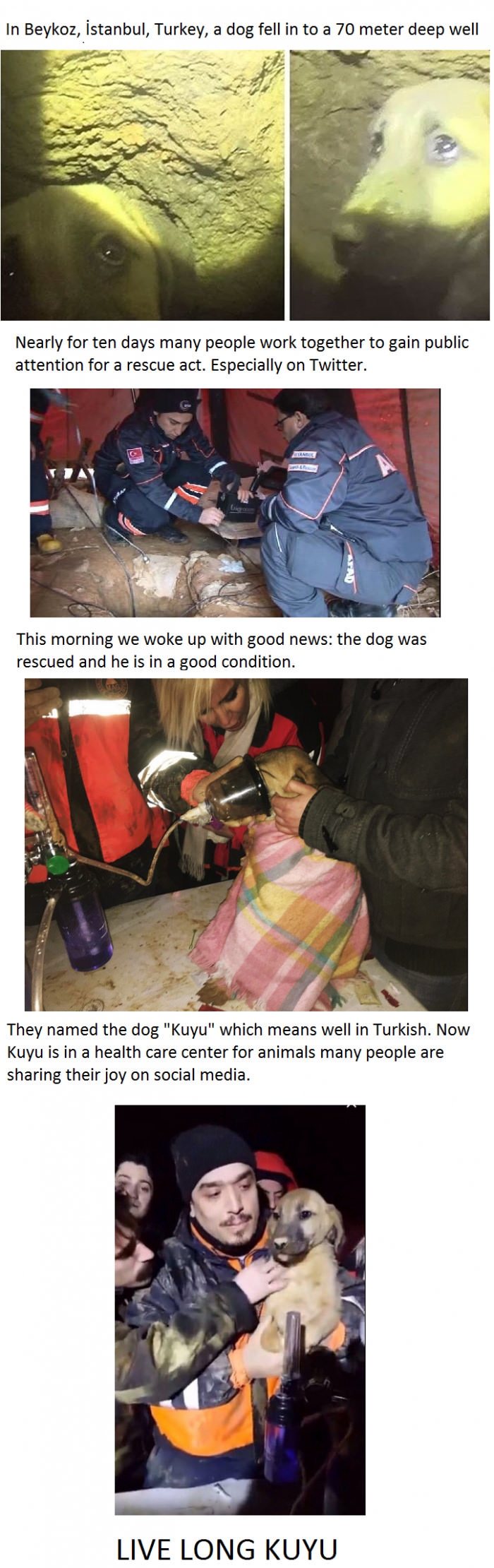 Faith in humanity restored