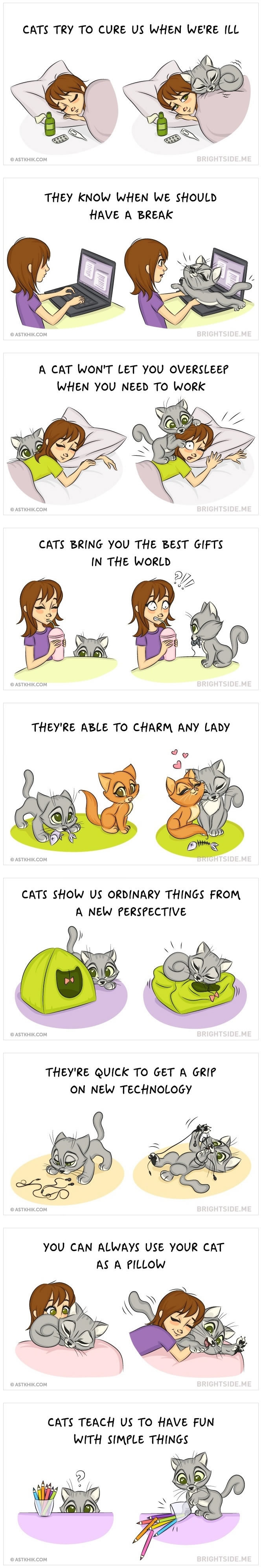 9 brilliant reasons to have a cat