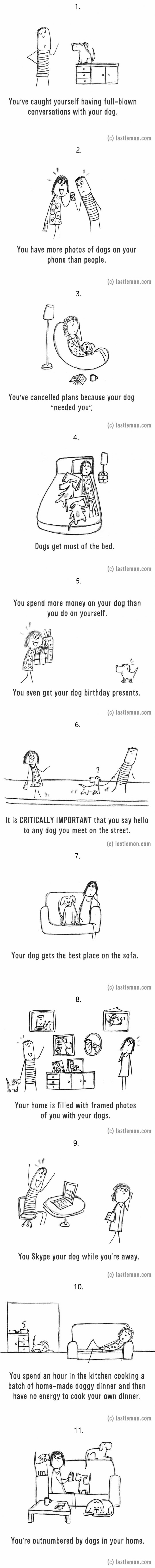 11 ways to tell if youre a crazy dog parent