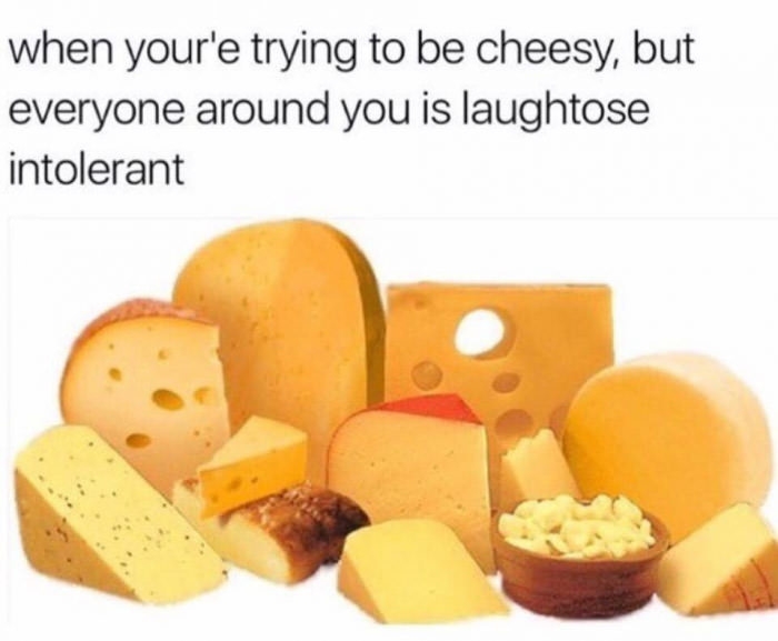 Cheesiness