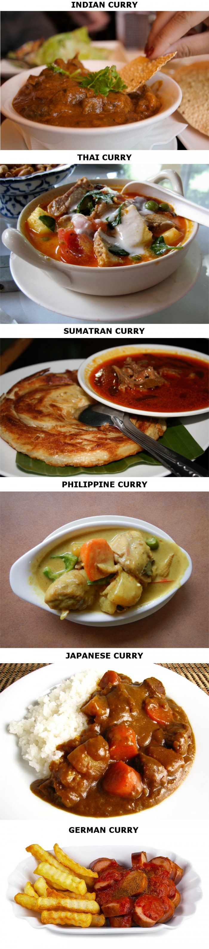 Curries from around the world