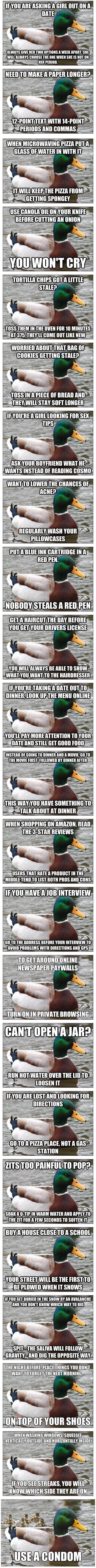 Actual Advice Mallard