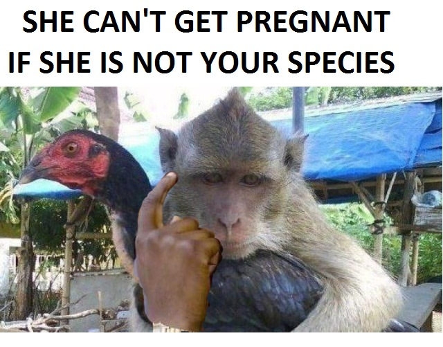 Flawless logic