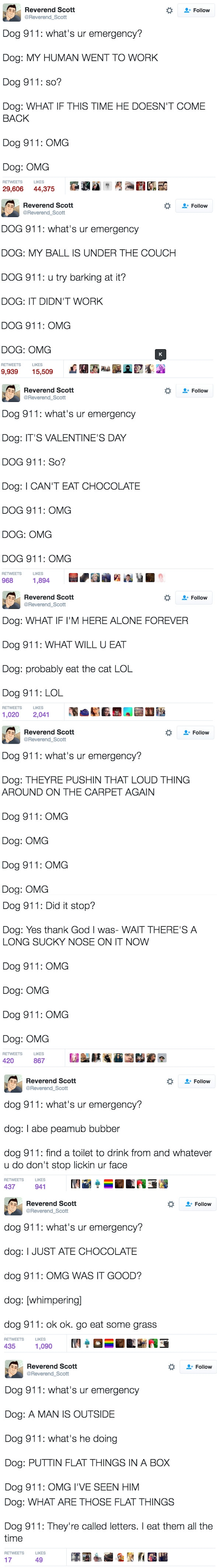 Dog 911. The complete saga