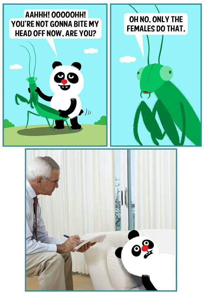 Damn you Mantis
