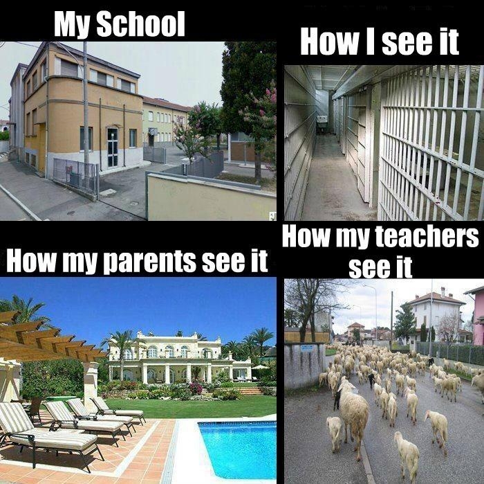 My School