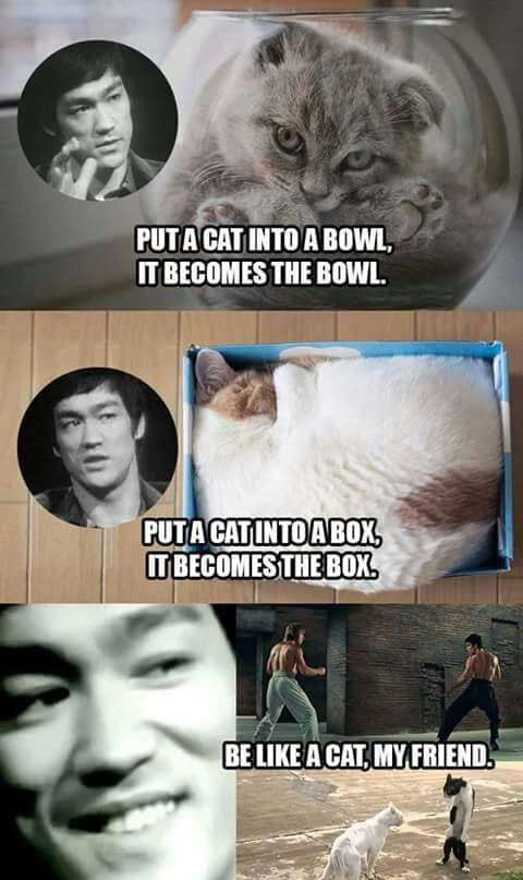 Be like a cat