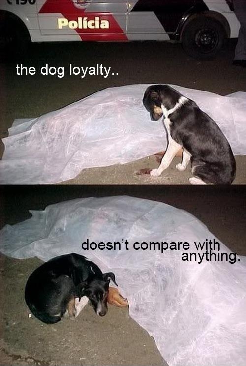 It's Sad, But It's True!