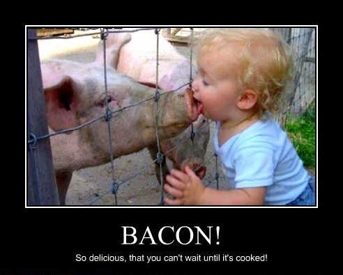 Bacon