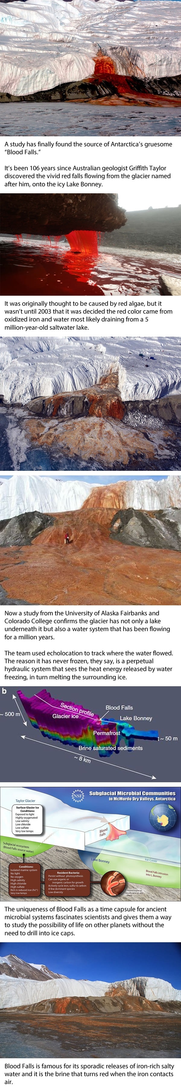 Scientists have solved the mystery of Antarctica's Blood Falls