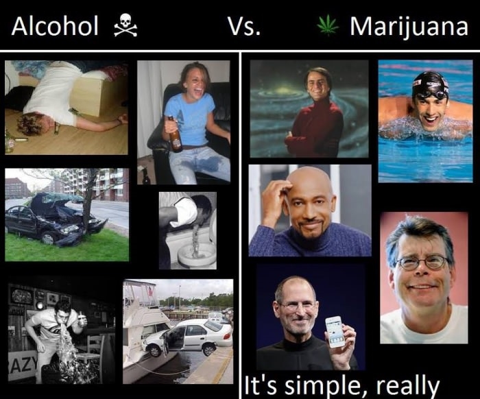 Alcohol vs Marijuana