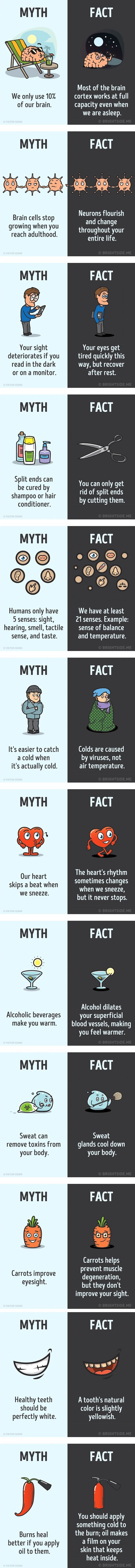 Myths about the human body