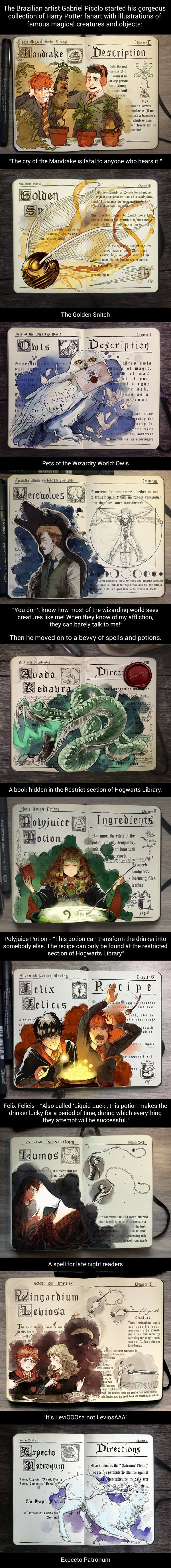 Famous elements and spells from Harry Potter