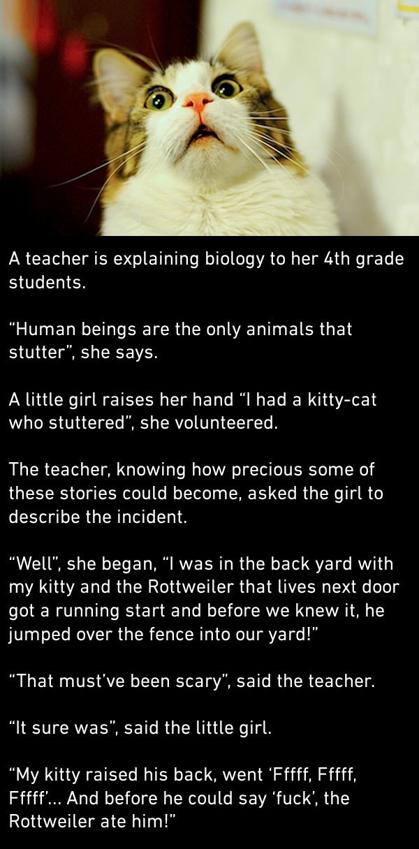 Do cats stutter?