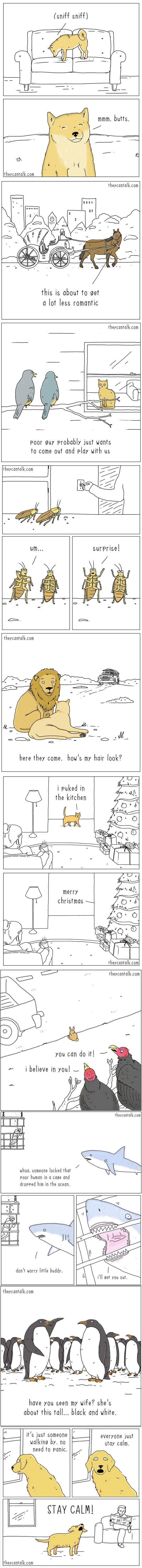 If animals could talk