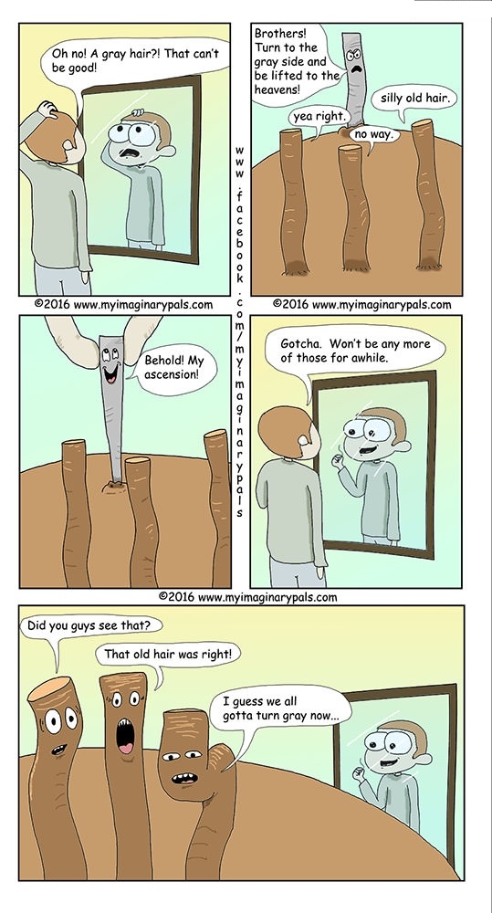 The truth behind grey hairs