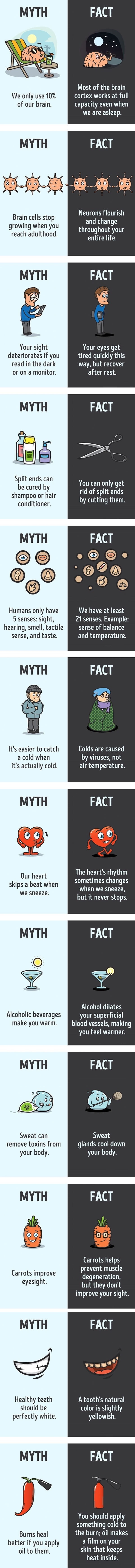 Myths vs facts